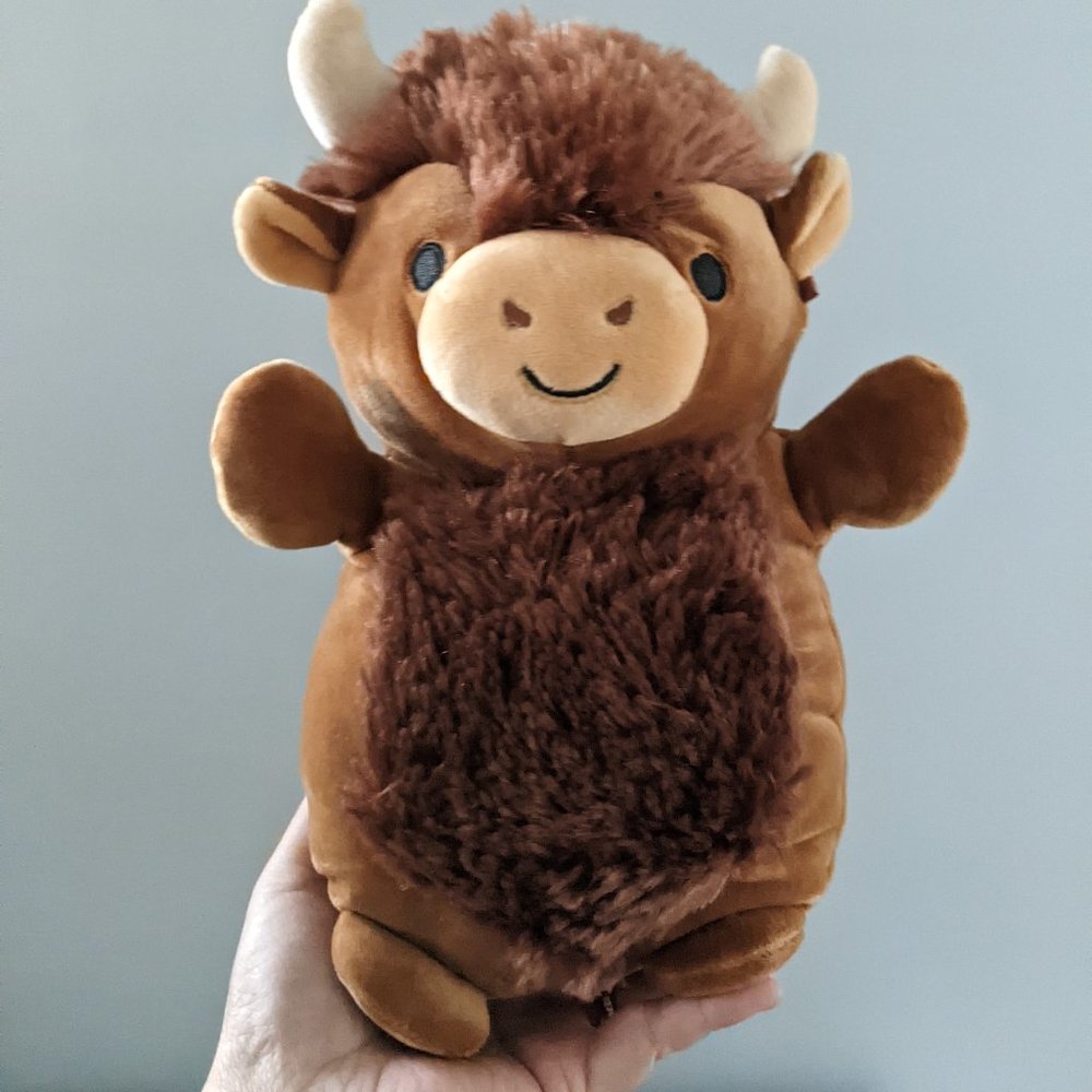 10” Dunkie Bison Squishmallow Hugmee